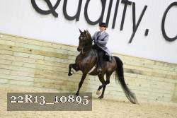 22R13_10895 proof