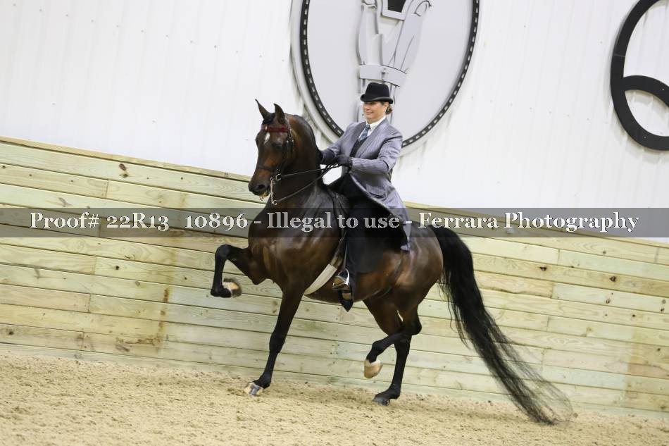 Proof 22R13_10896