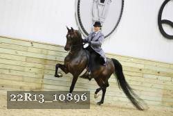 22R13_10896 proof