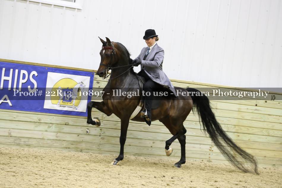 Proof 22R13_10897
