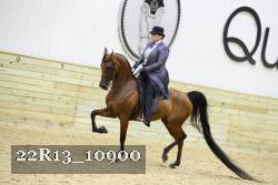 22R13_10900 proof