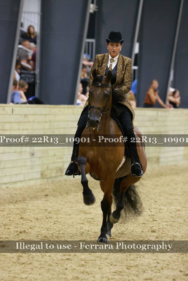 Proof 22R13_10901