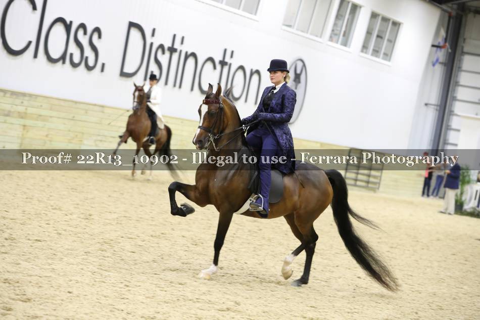 Proof 22R13_10902