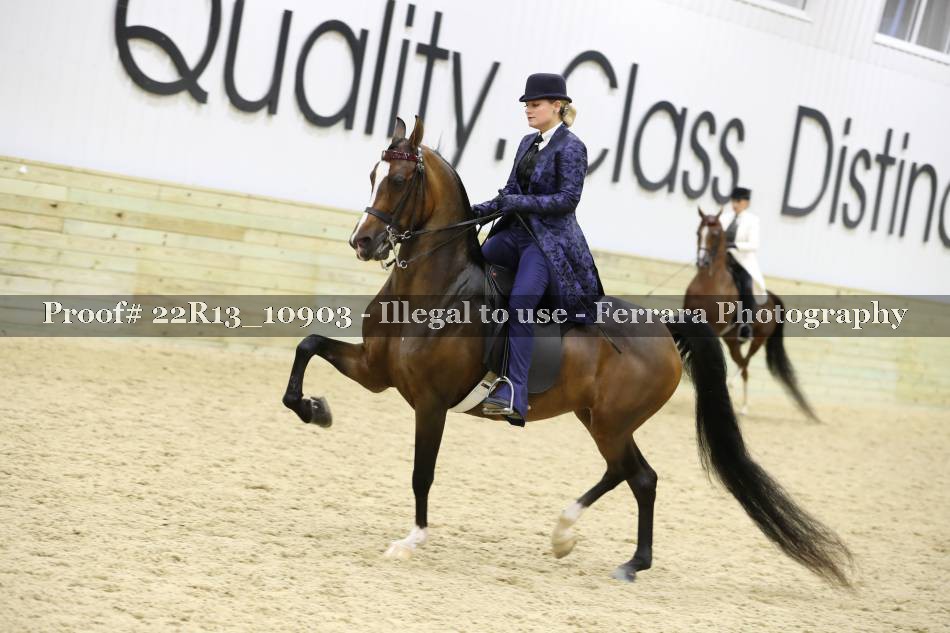 Proof 22R13_10903