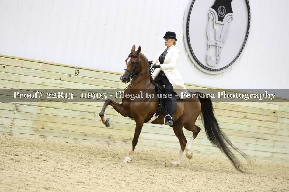 Proof 22R13_10905