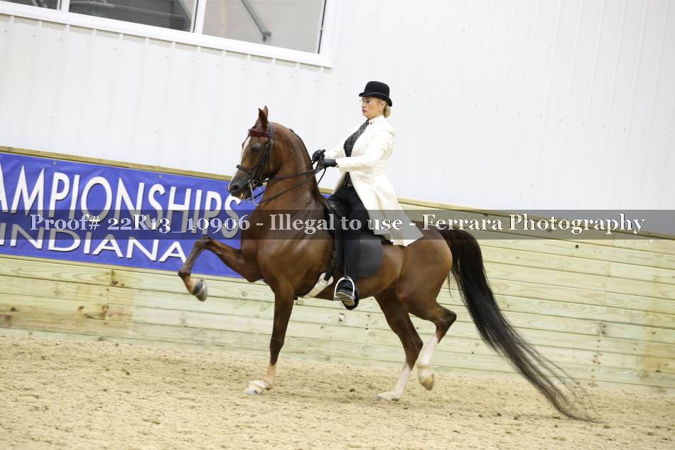 Proof 22R13_10906