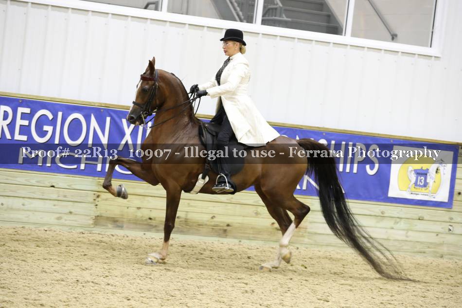 Proof 22R13_10907