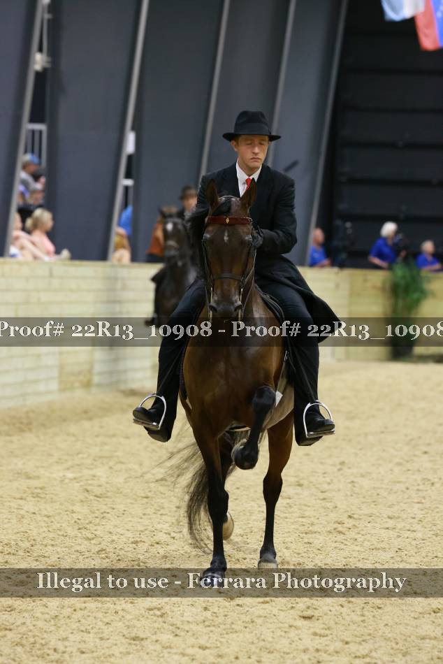 Proof 22R13_10908