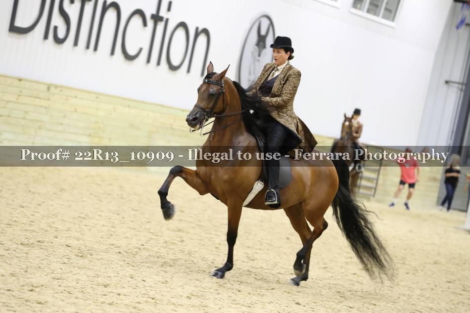 Proof 22R13_10909