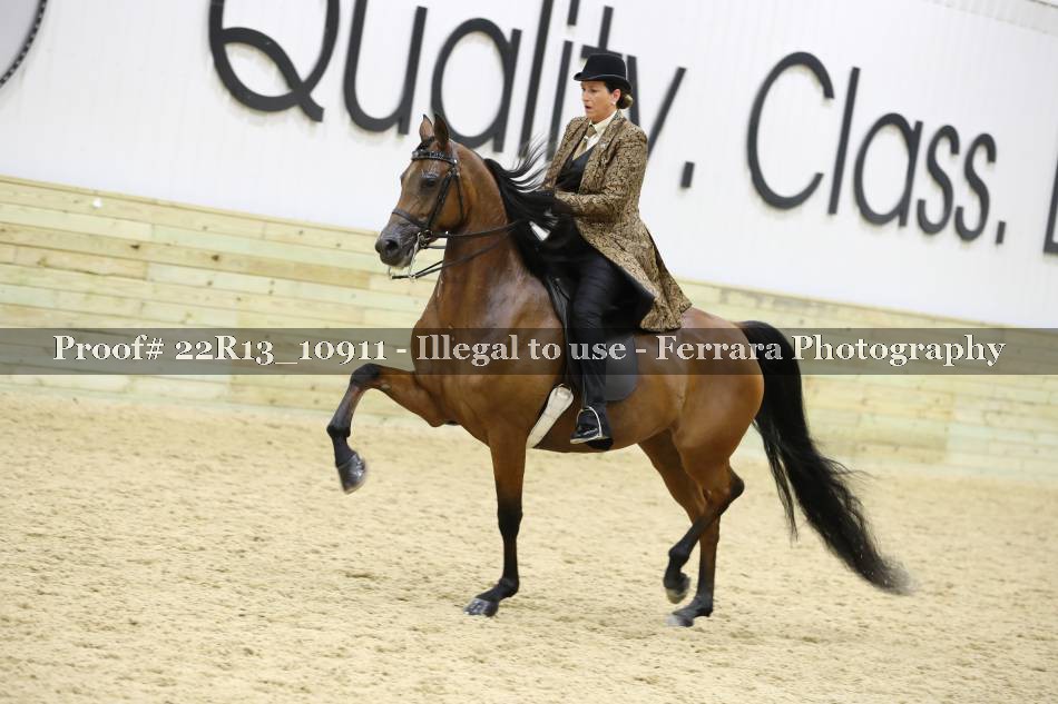 Proof 22R13_10911