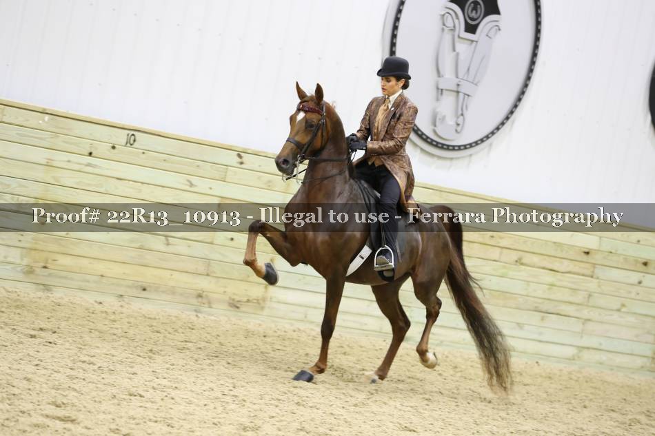 Proof 22R13_10913