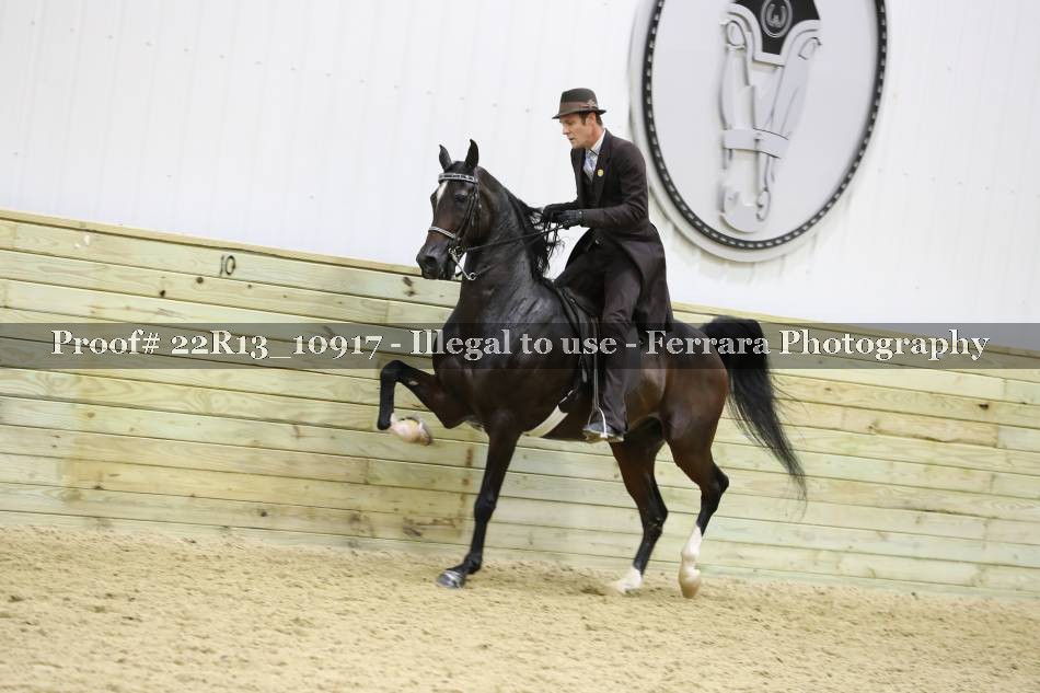 Proof 22R13_10917