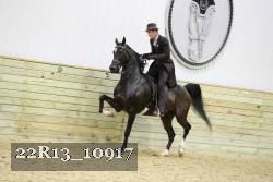 22R13_10917 proof