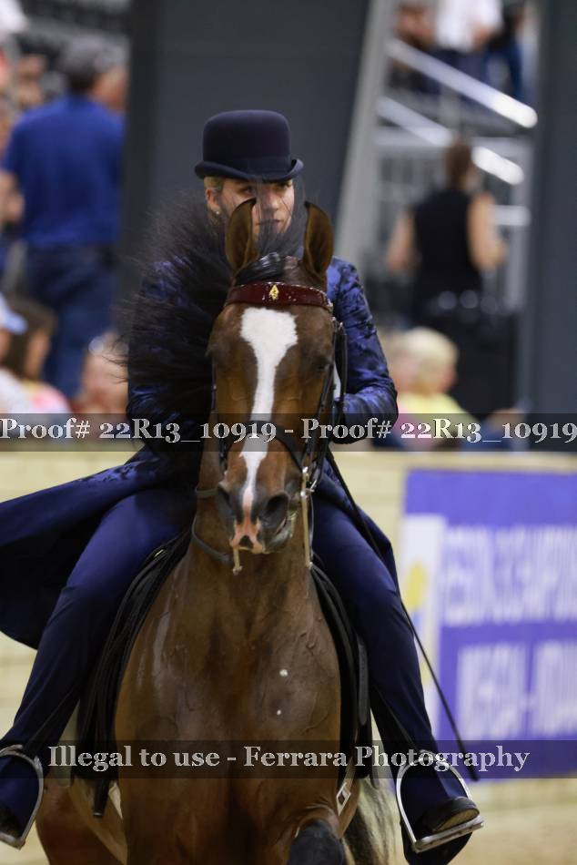 Proof 22R13_10919