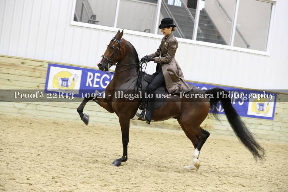 Proof 22R13_10921