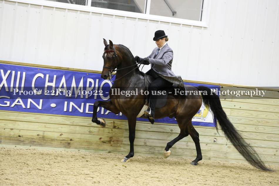 Proof 22R13_10922