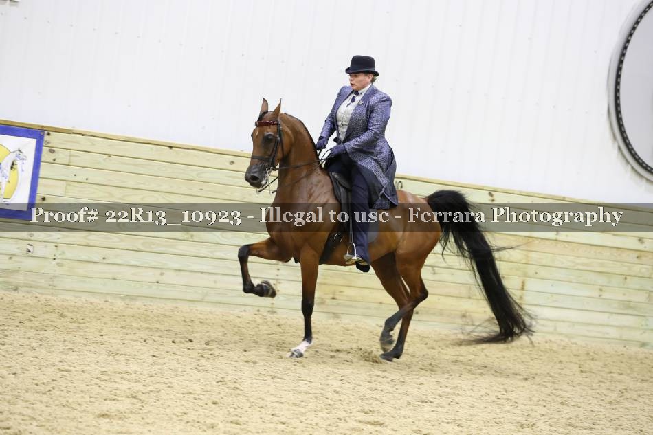 Proof 22R13_10923