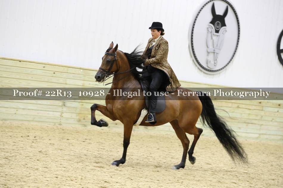 Proof 22R13_10928