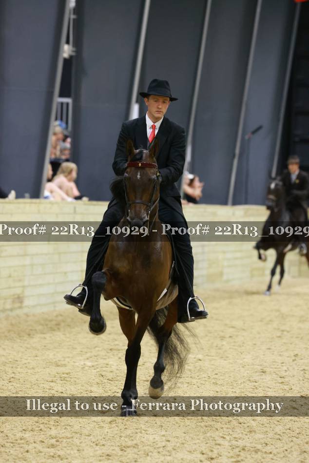 Proof 22R13_10929