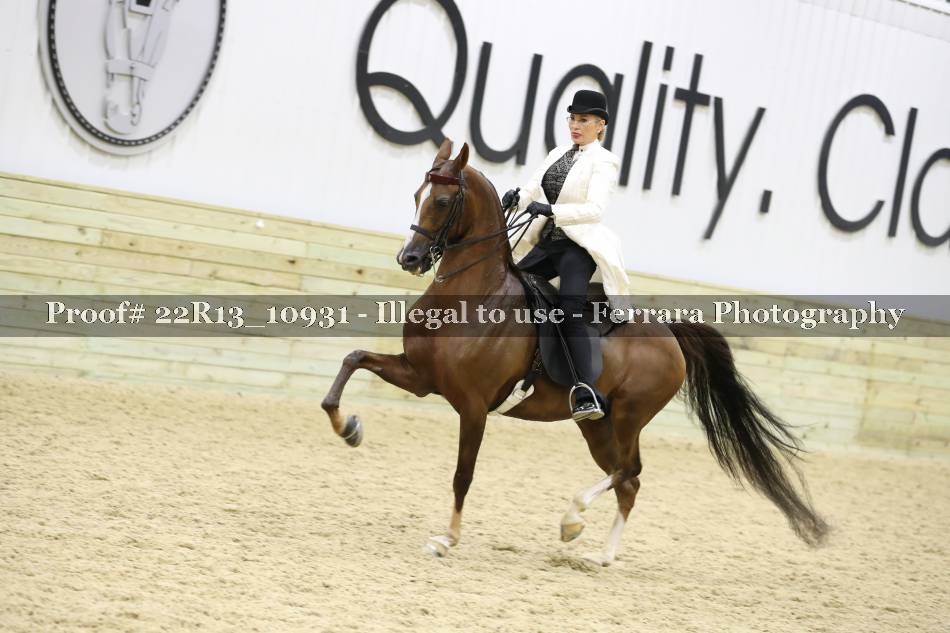 Proof 22R13_10931