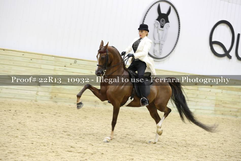 Proof 22R13_10932