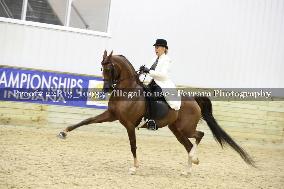Proof 22R13_10933