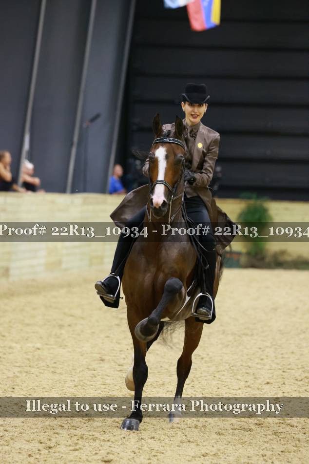 Proof 22R13_10934
