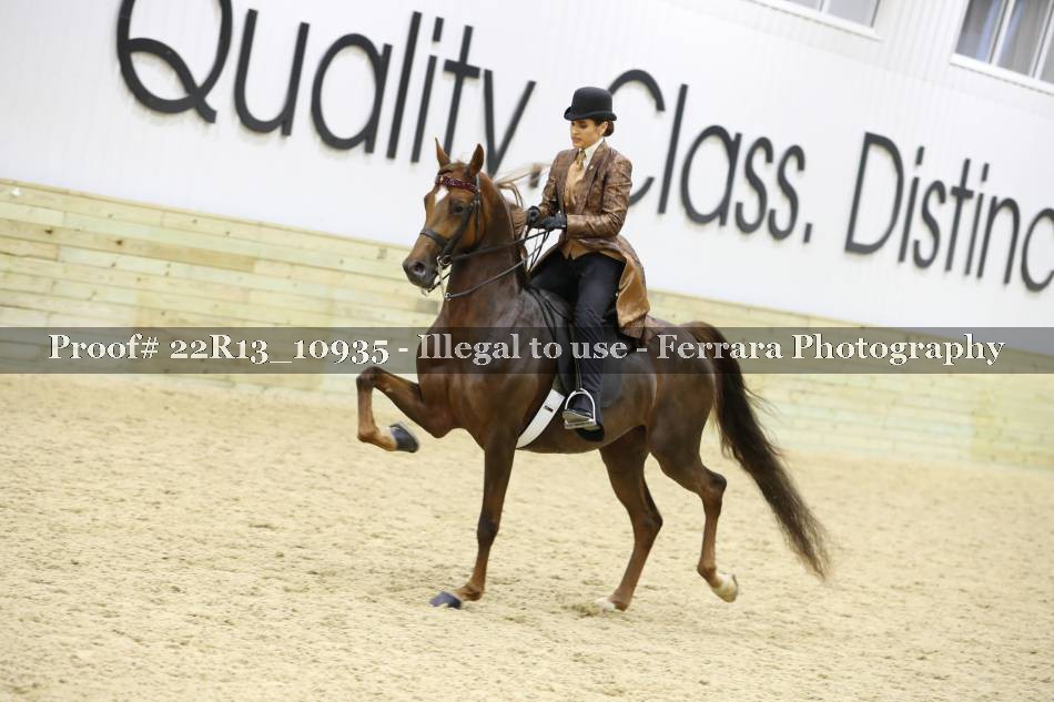Proof 22R13_10935