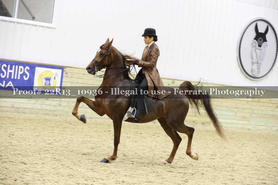 Proof 22R13_10936