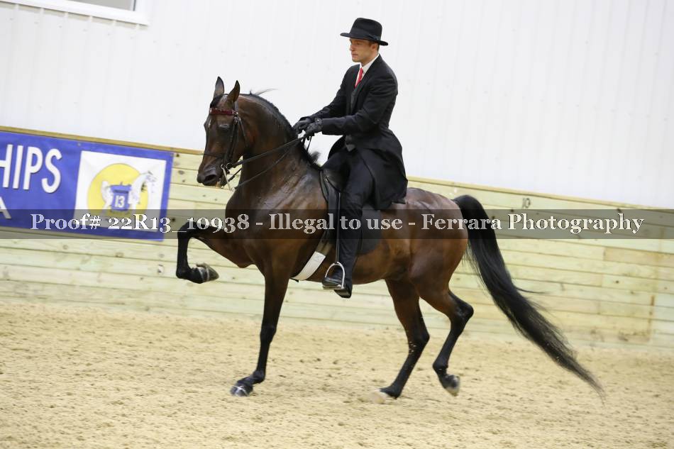 Proof 22R13_10938