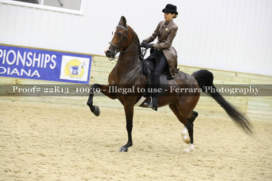 Proof 22R13_10939