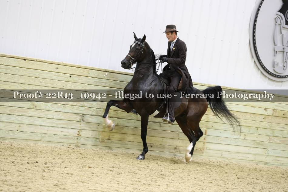 Proof 22R13_10942