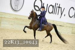 22R13_10943 proof