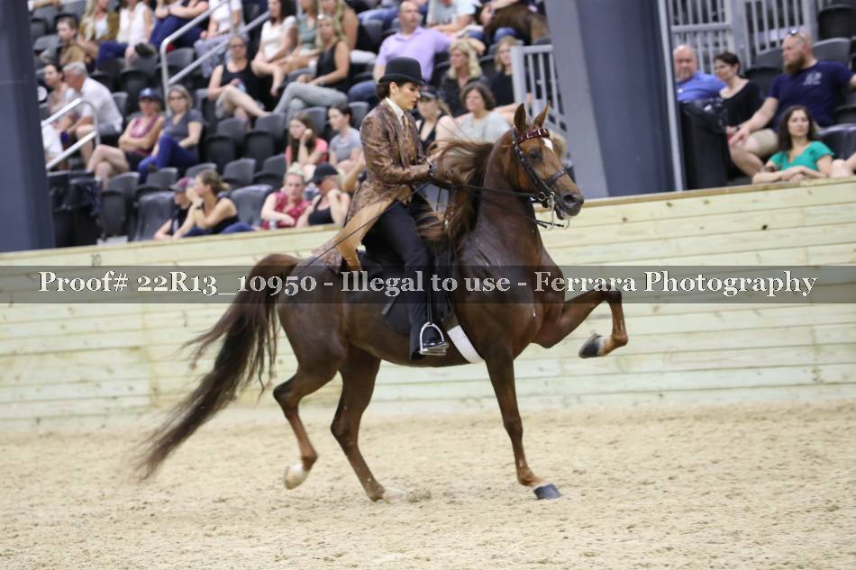 Proof 22R13_10950