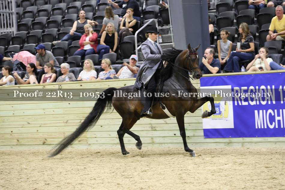 Proof 22R13_10953