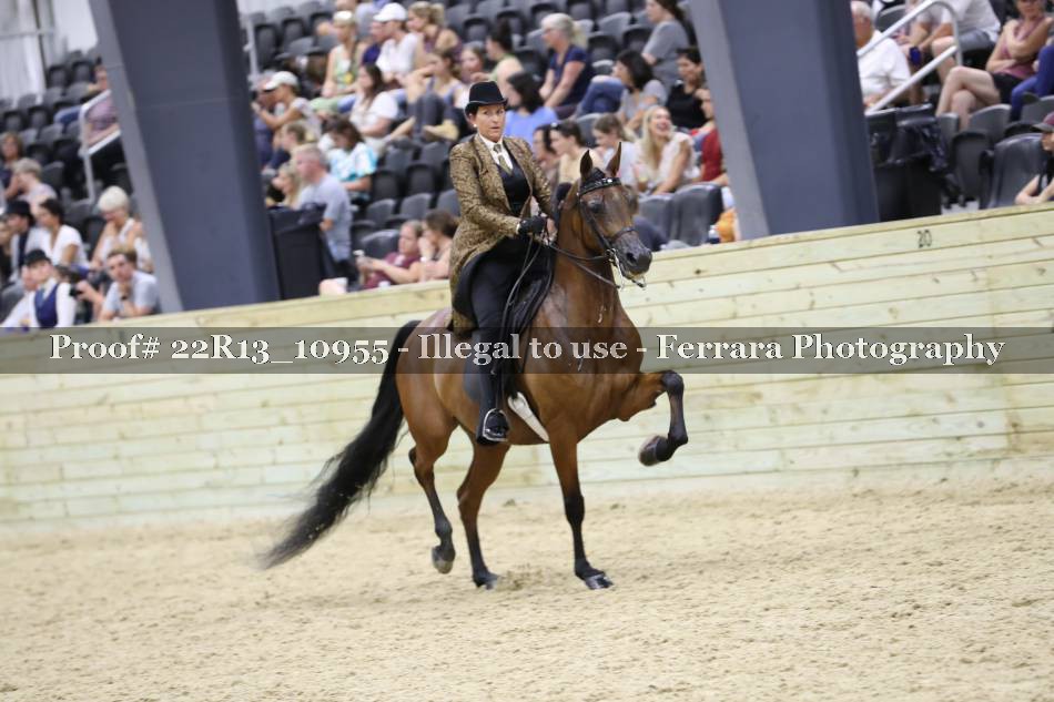 Proof 22R13_10955
