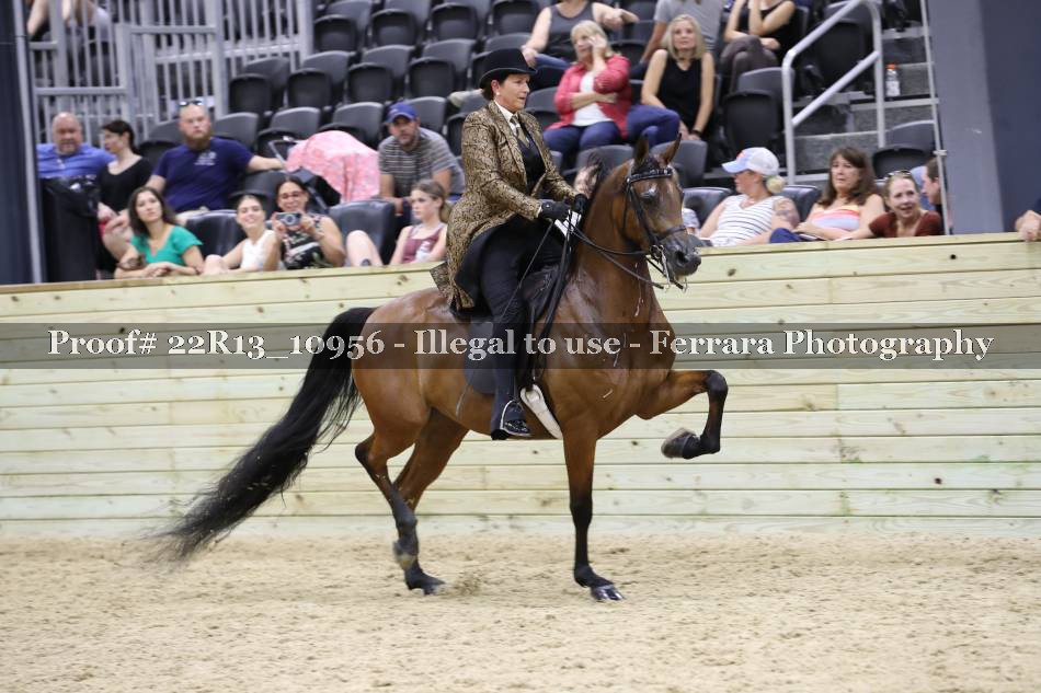 Proof 22R13_10956