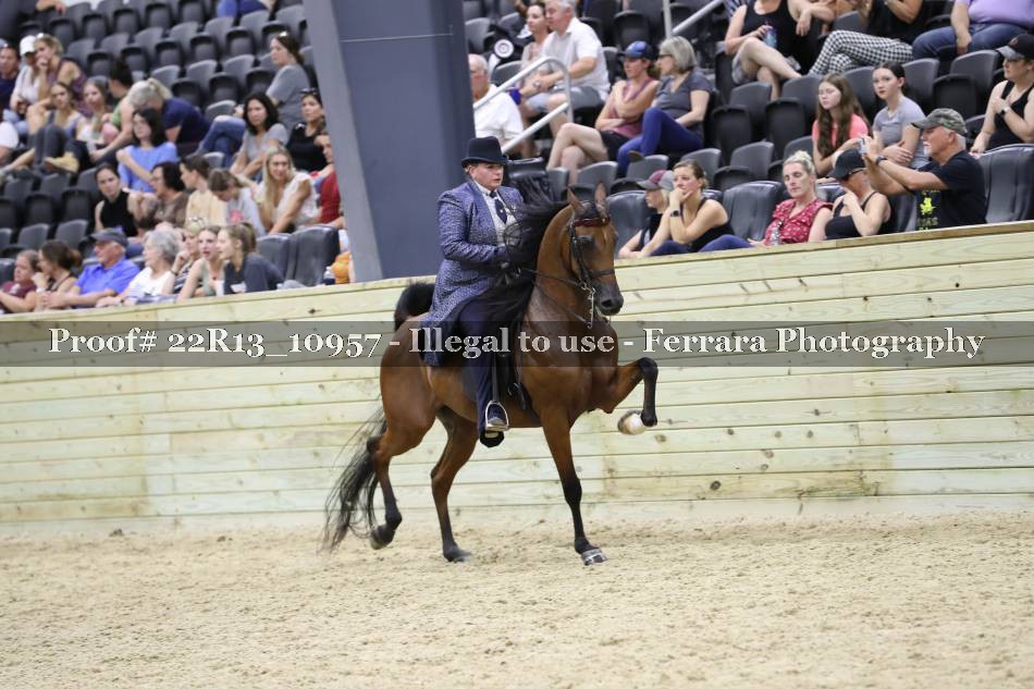 Proof 22R13_10957