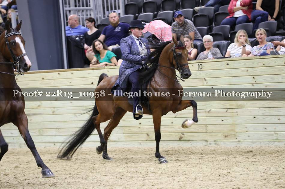 Proof 22R13_10958