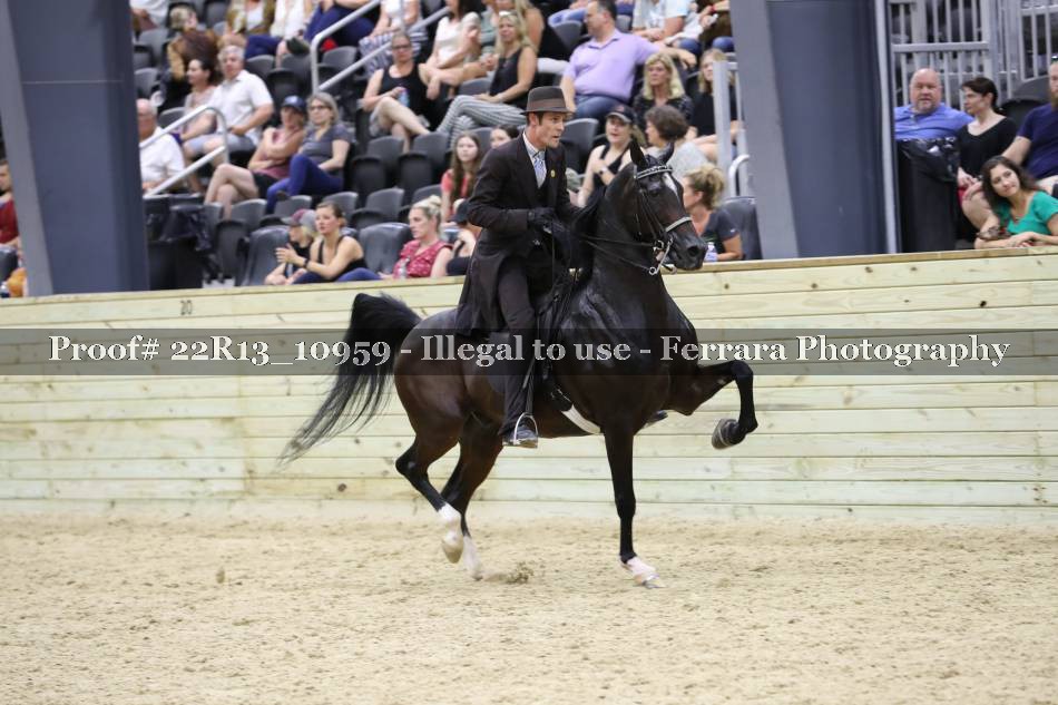 Proof 22R13_10959