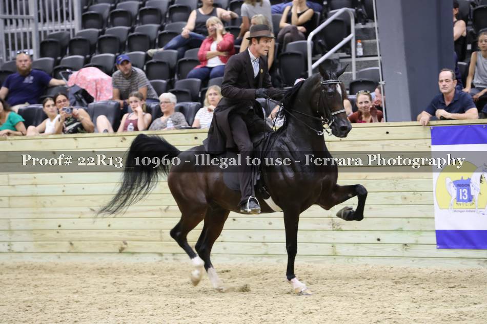 Proof 22R13_10960