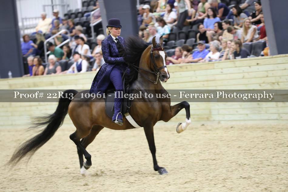 Proof 22R13_10961