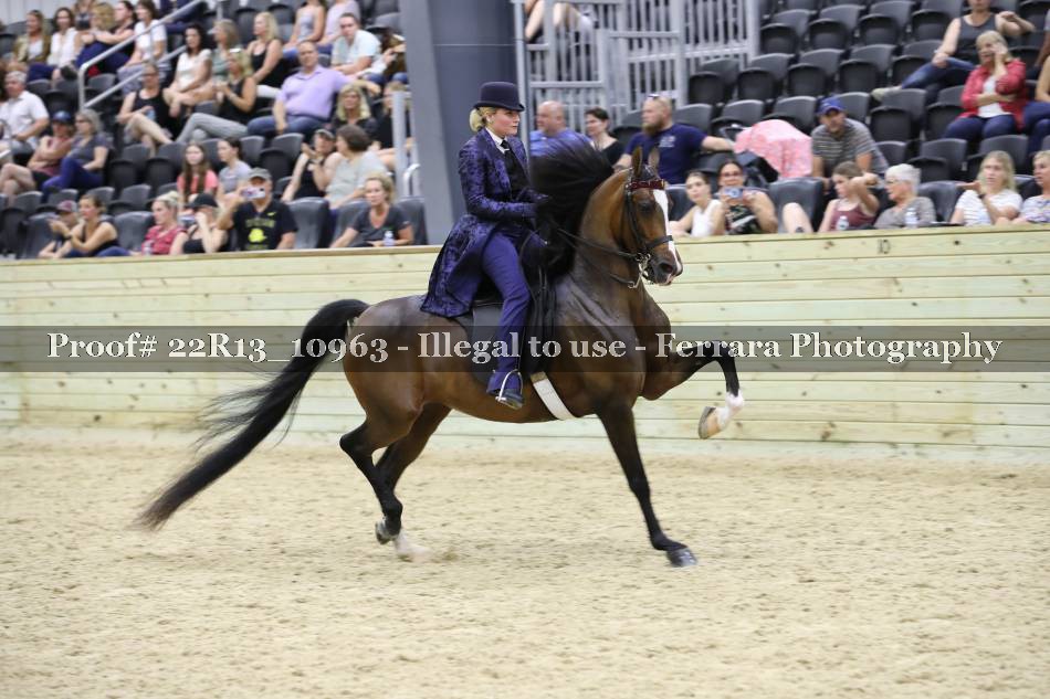 Proof 22R13_10963