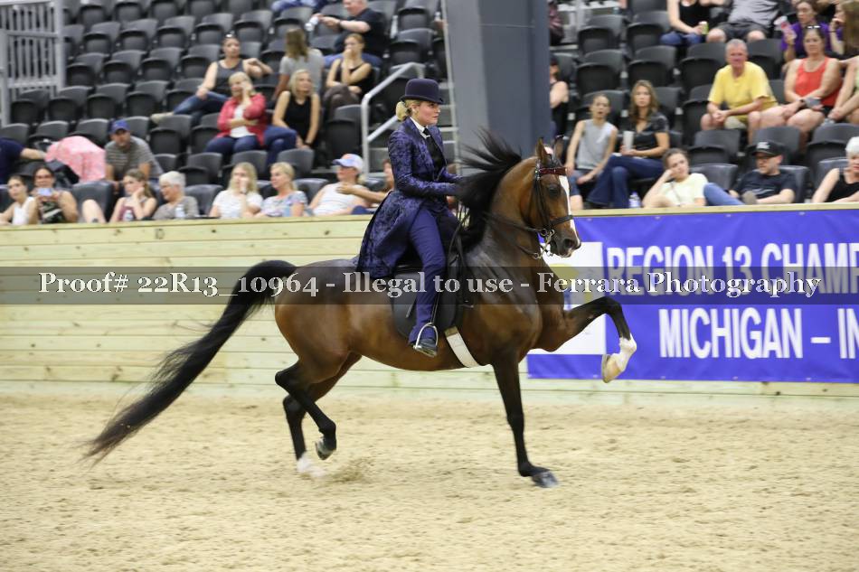 Proof 22R13_10964