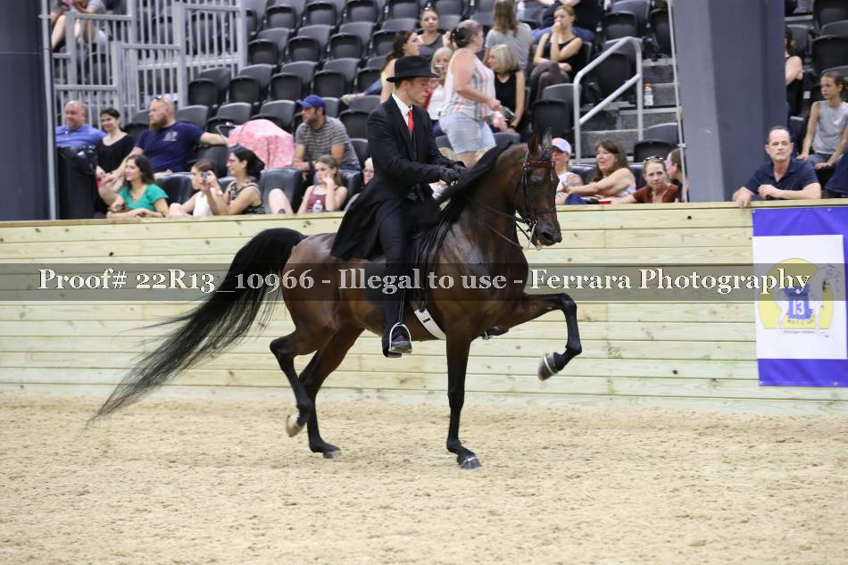 Proof 22R13_10966