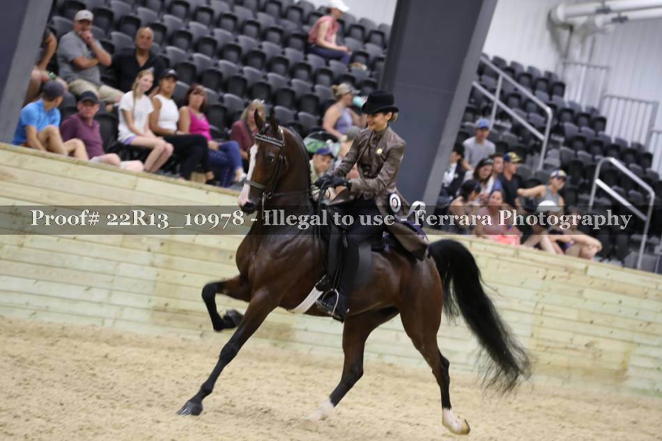 Proof 22R13_10978