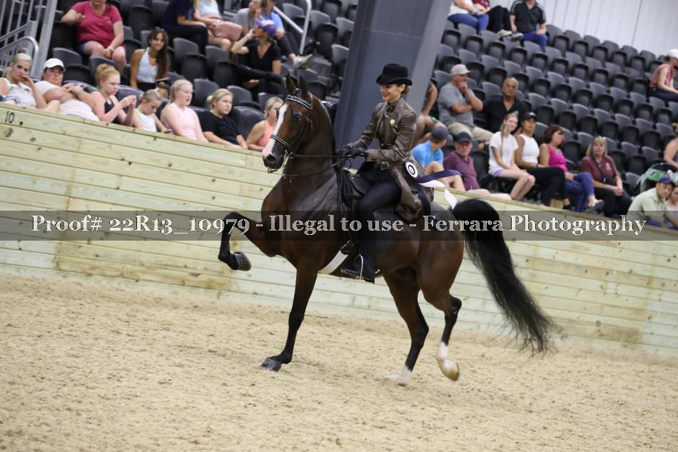 Proof 22R13_10979