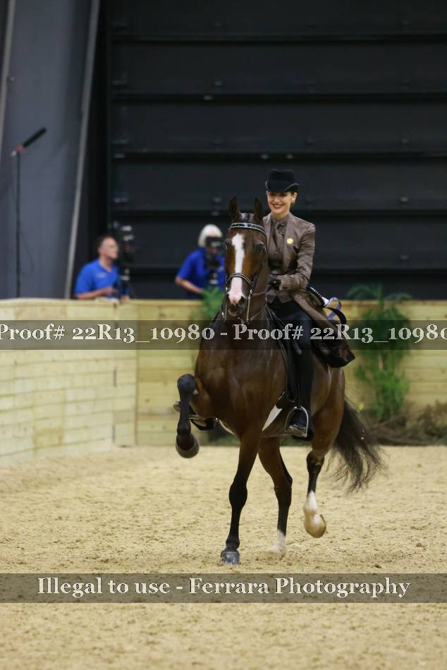 Proof 22R13_10980