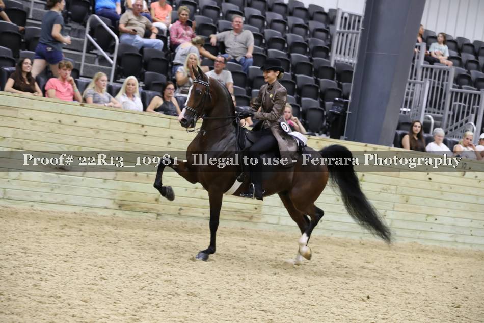 Proof 22R13_10981