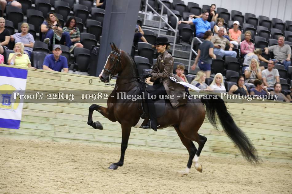 Proof 22R13_10982